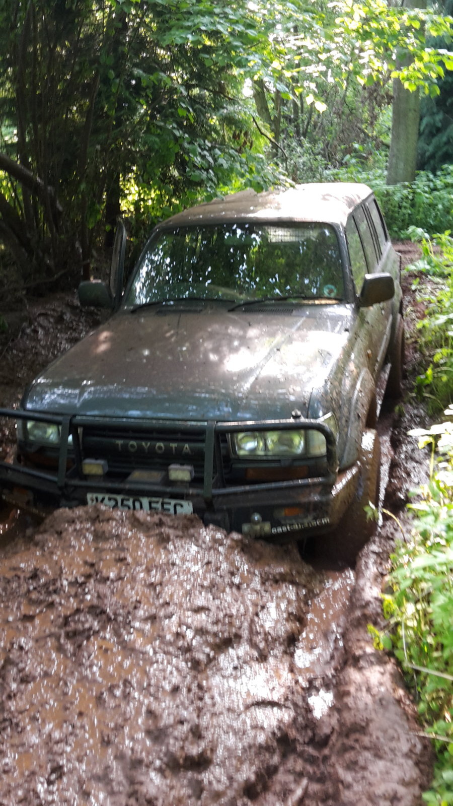 20160528_175105.jpg