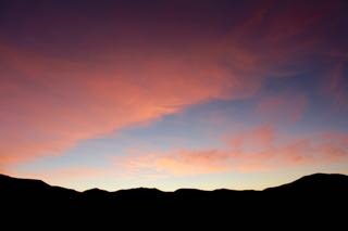 IMG_6616.jpg