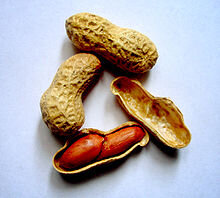220px-Arachis-hypogaea-%28peanuts%29.jpg