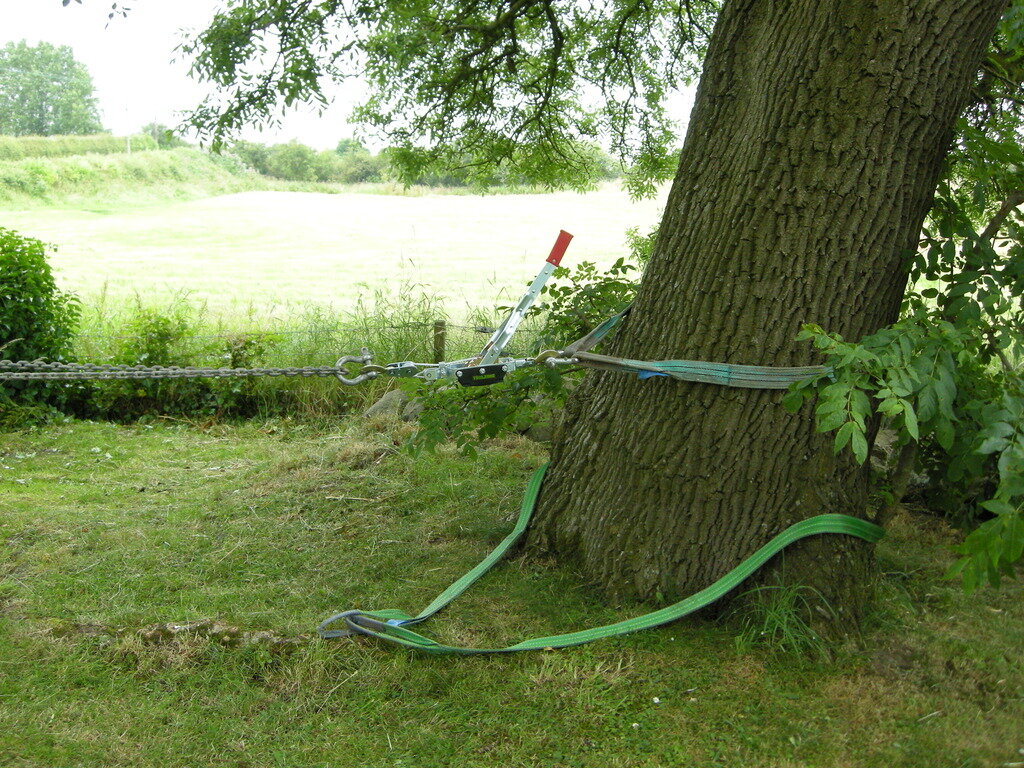 DSCN6384_zpsuwtedm1b.jpg