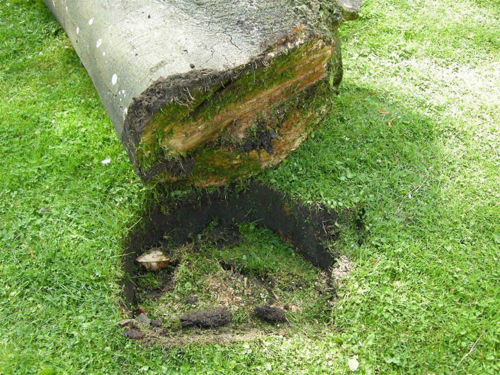 DSCN6417_zpsktgtatof.jpg