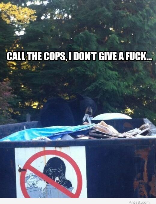 And-there-was-this-bear%E2%80%A6.jpg