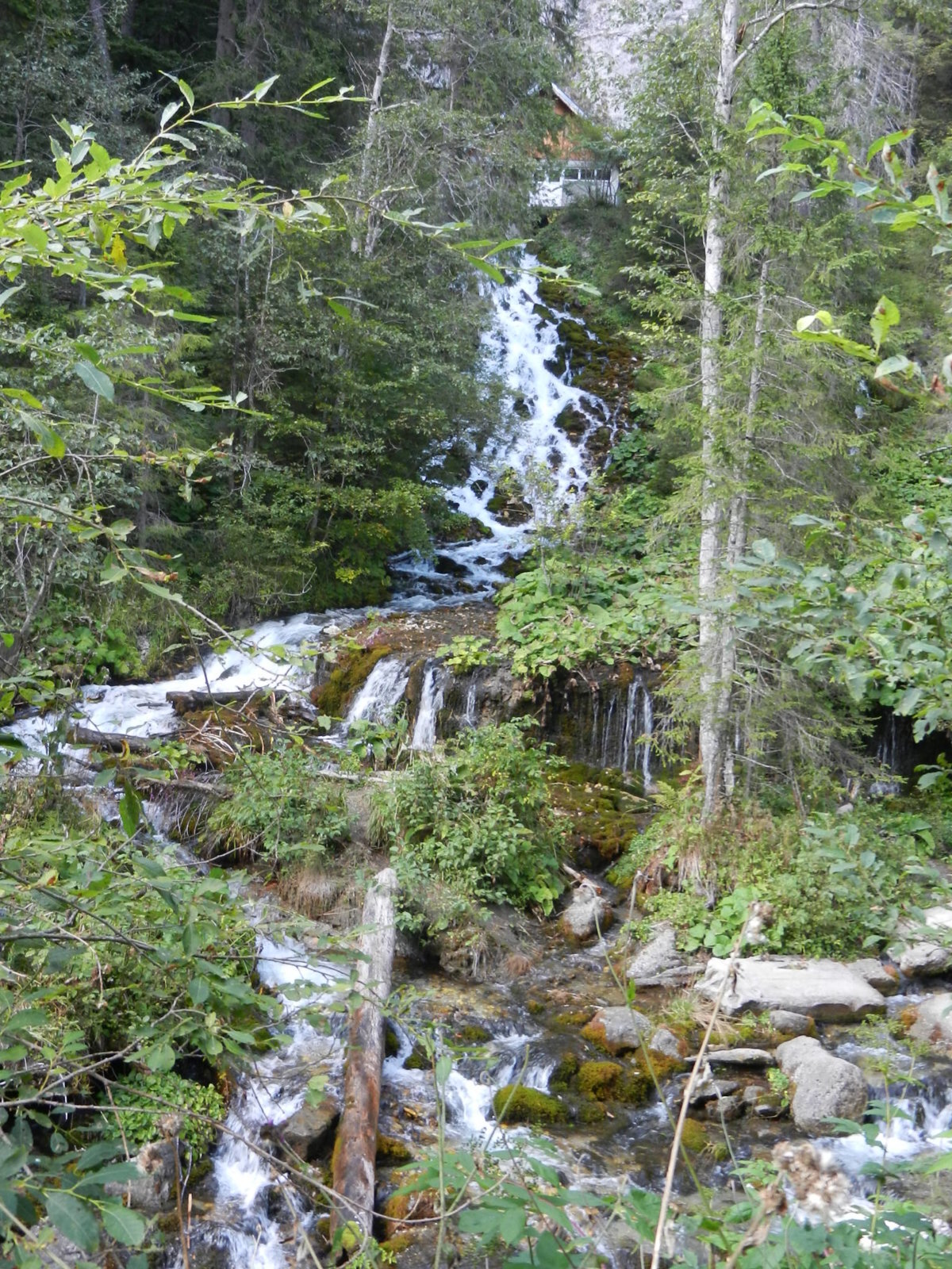 DSCN2037.JPG