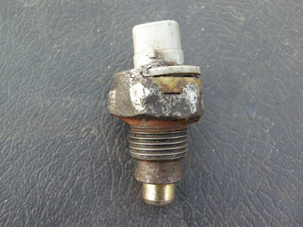DSCN5109.jpg