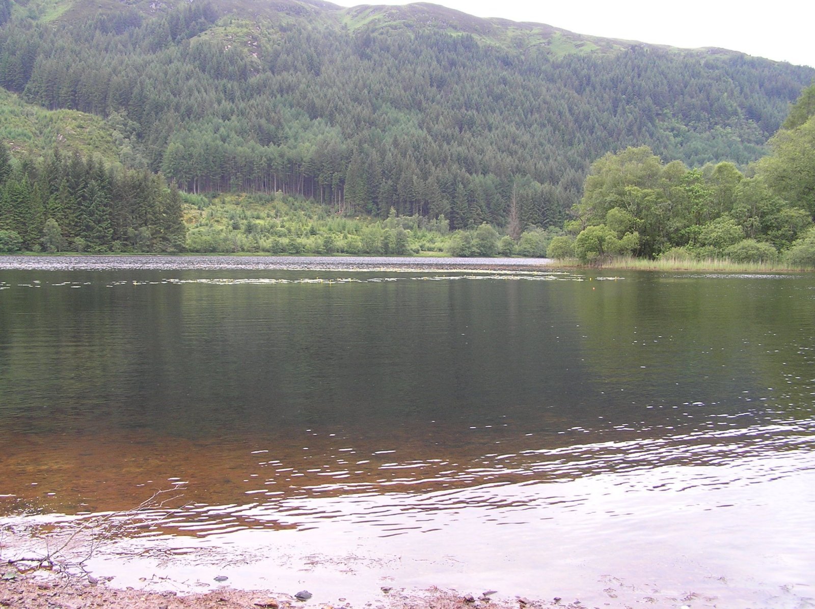 P1010008.jpg