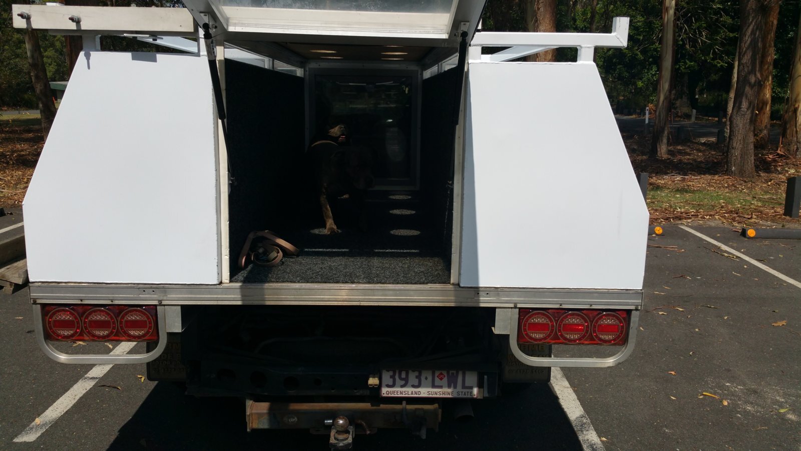 rear view.jpg