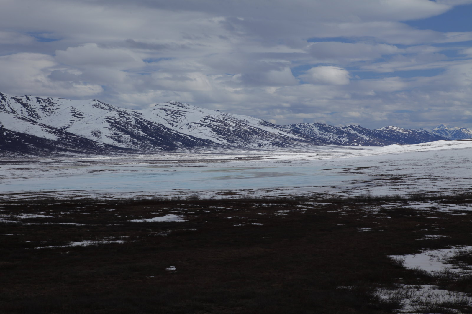 _MG_5403.JPG