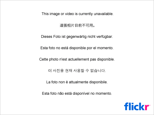 7719377092_ccfc4c3486_z.jpg