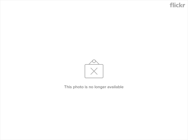 7719394978_516ebcdd5d_z.jpg