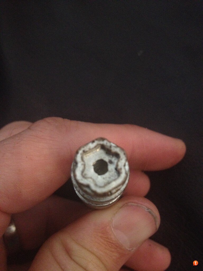 buve8y6e.jpg