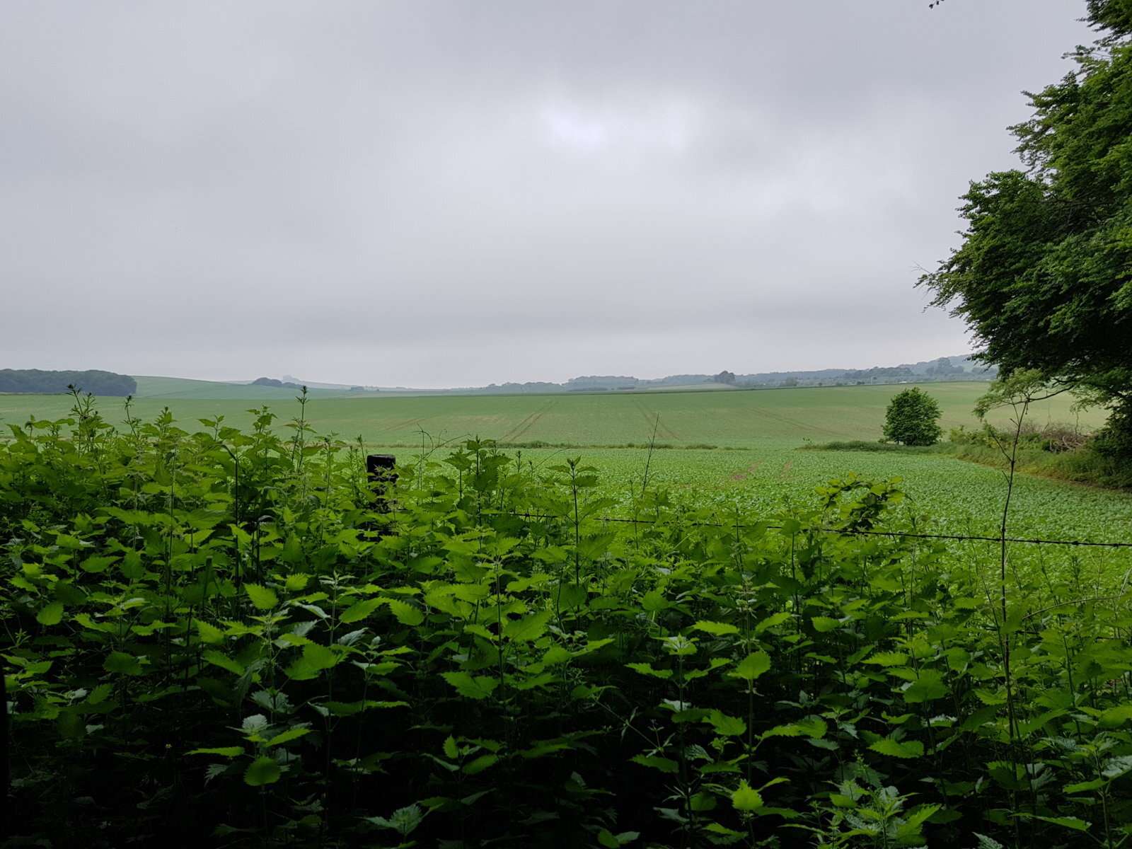 20170527_111000.jpg