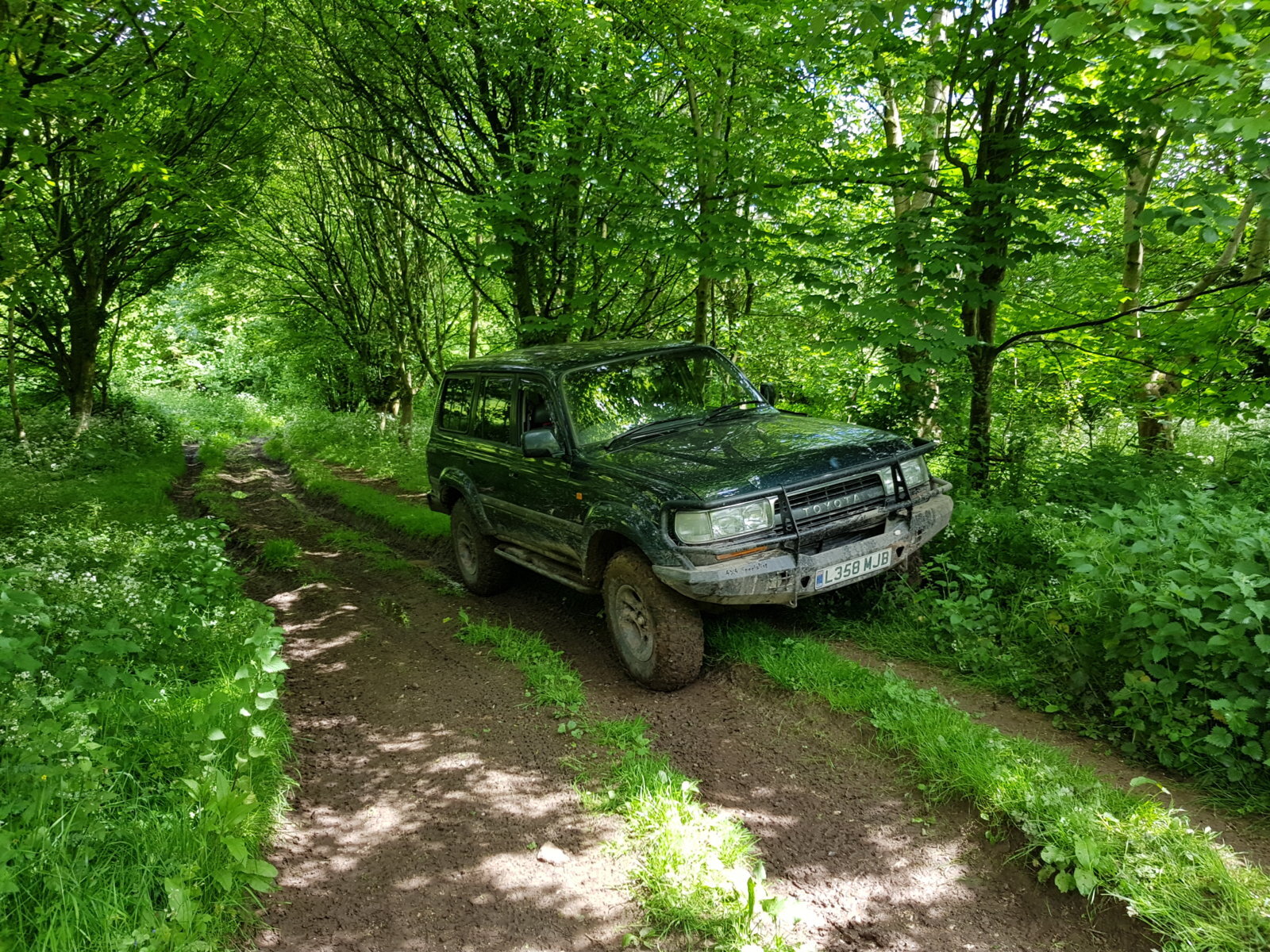 20170527_124833.jpg