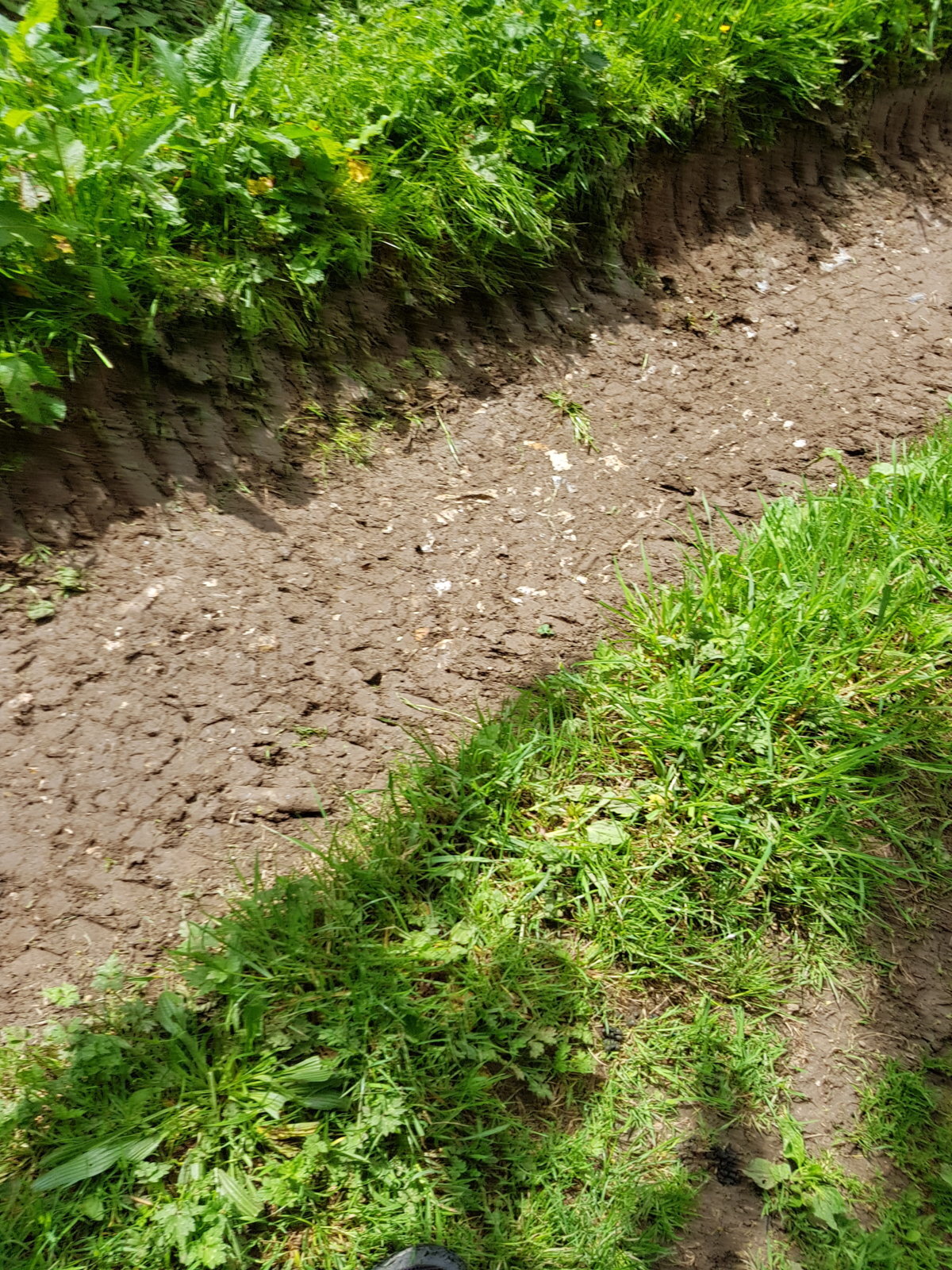 20170527_124835.jpg