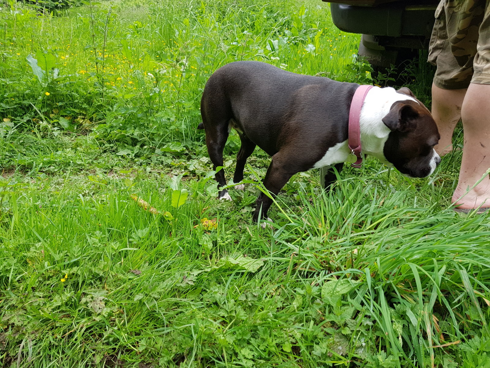 20170527_125957.jpg