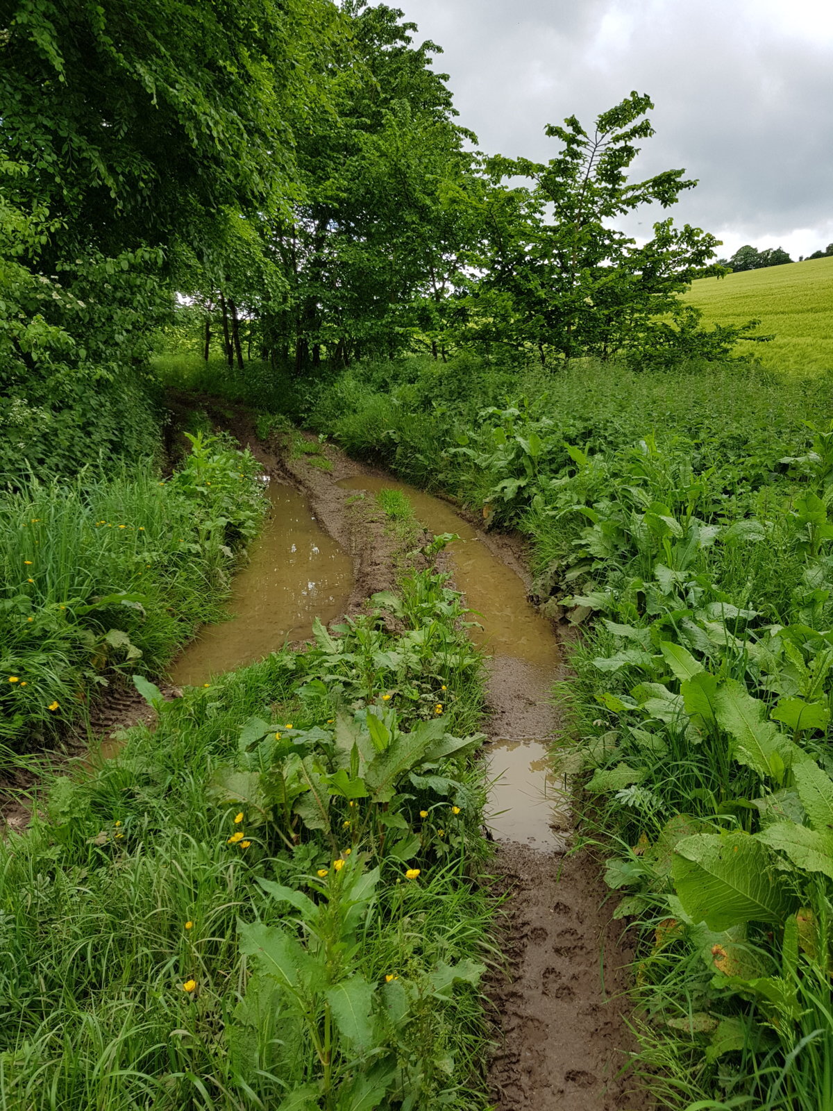 20170527_143421.jpg