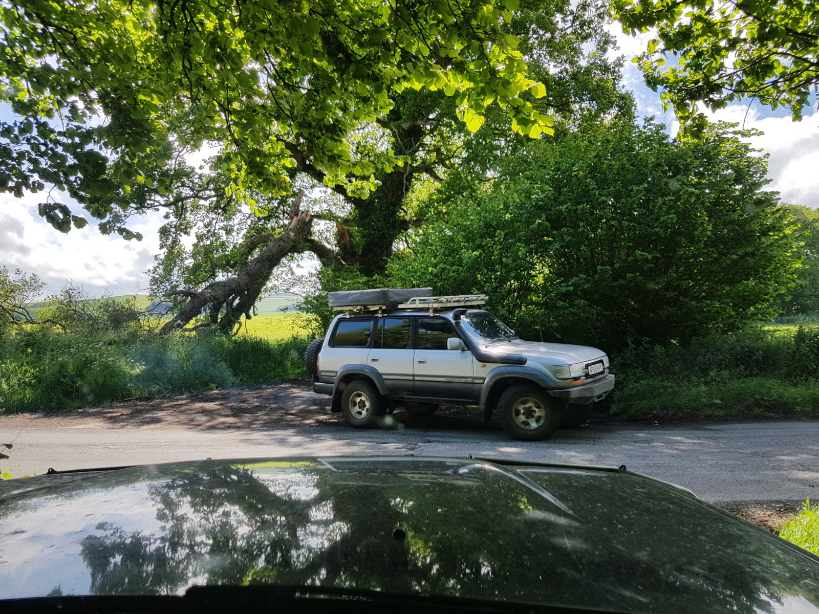 20170527_150538.jpg