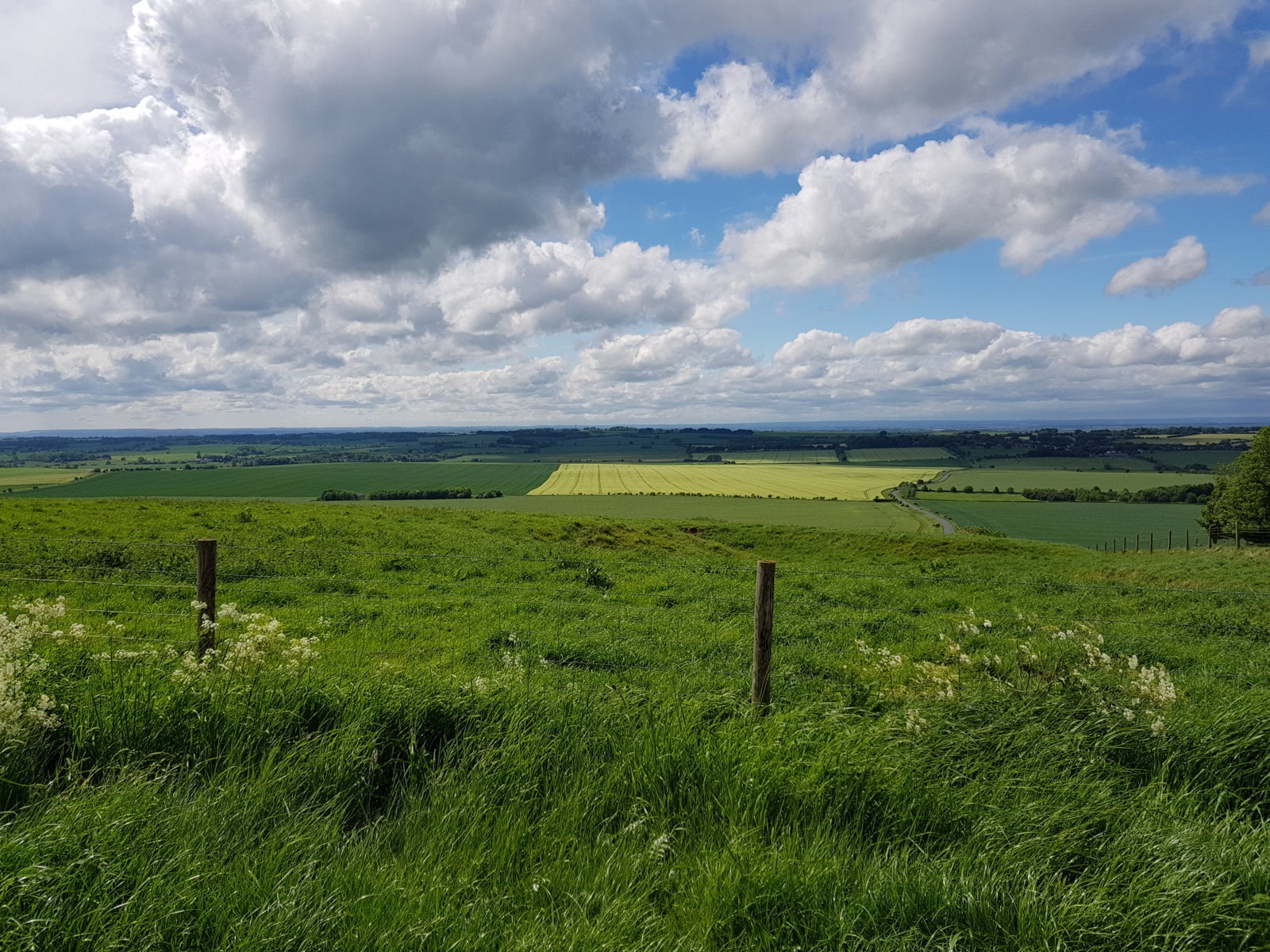 20170527_152856.jpg