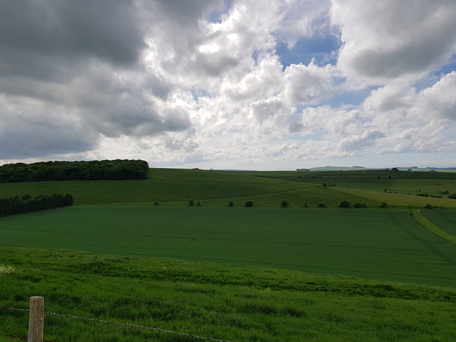 20170527_163444.jpg