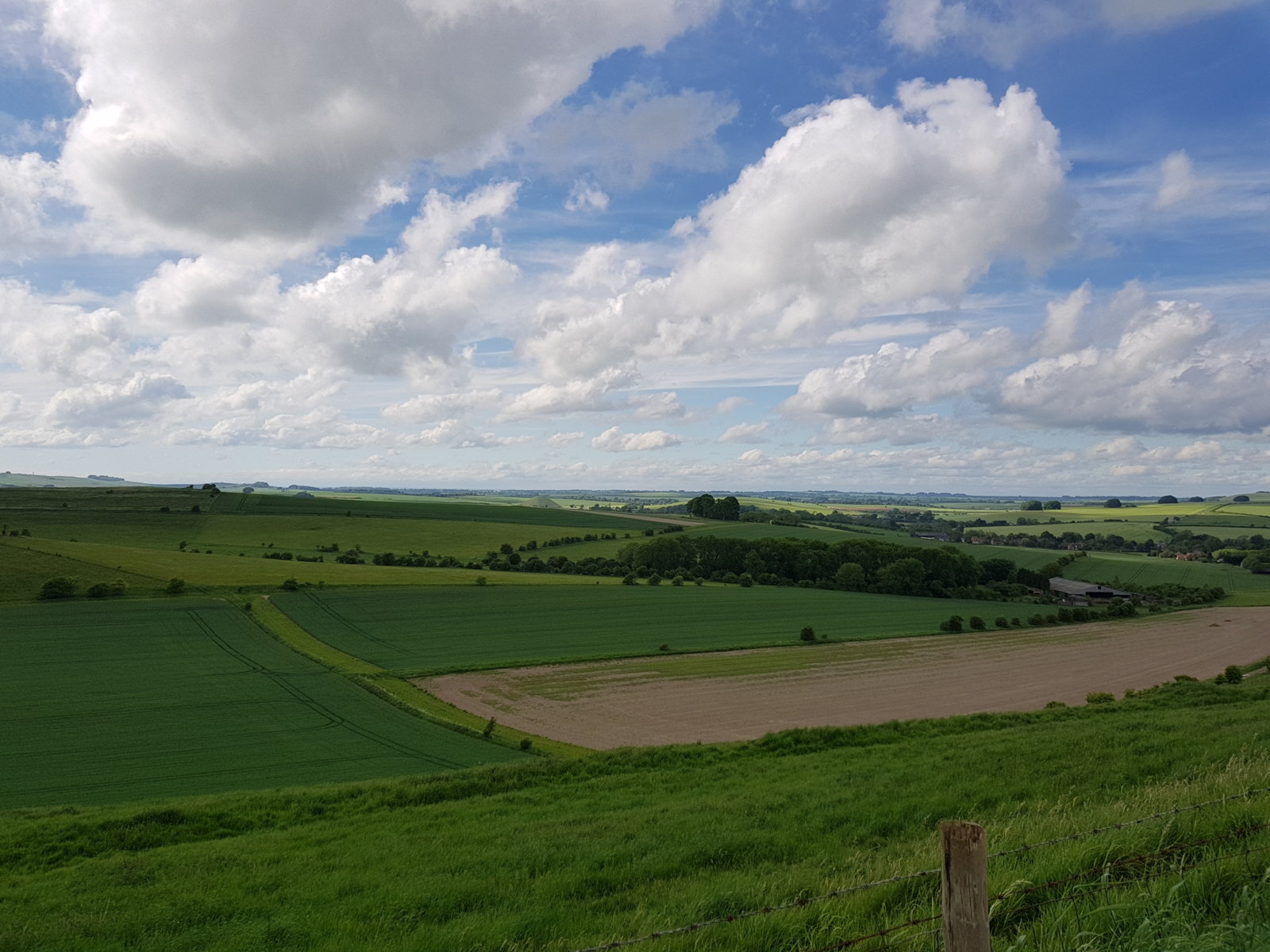 20170527_163446.jpg