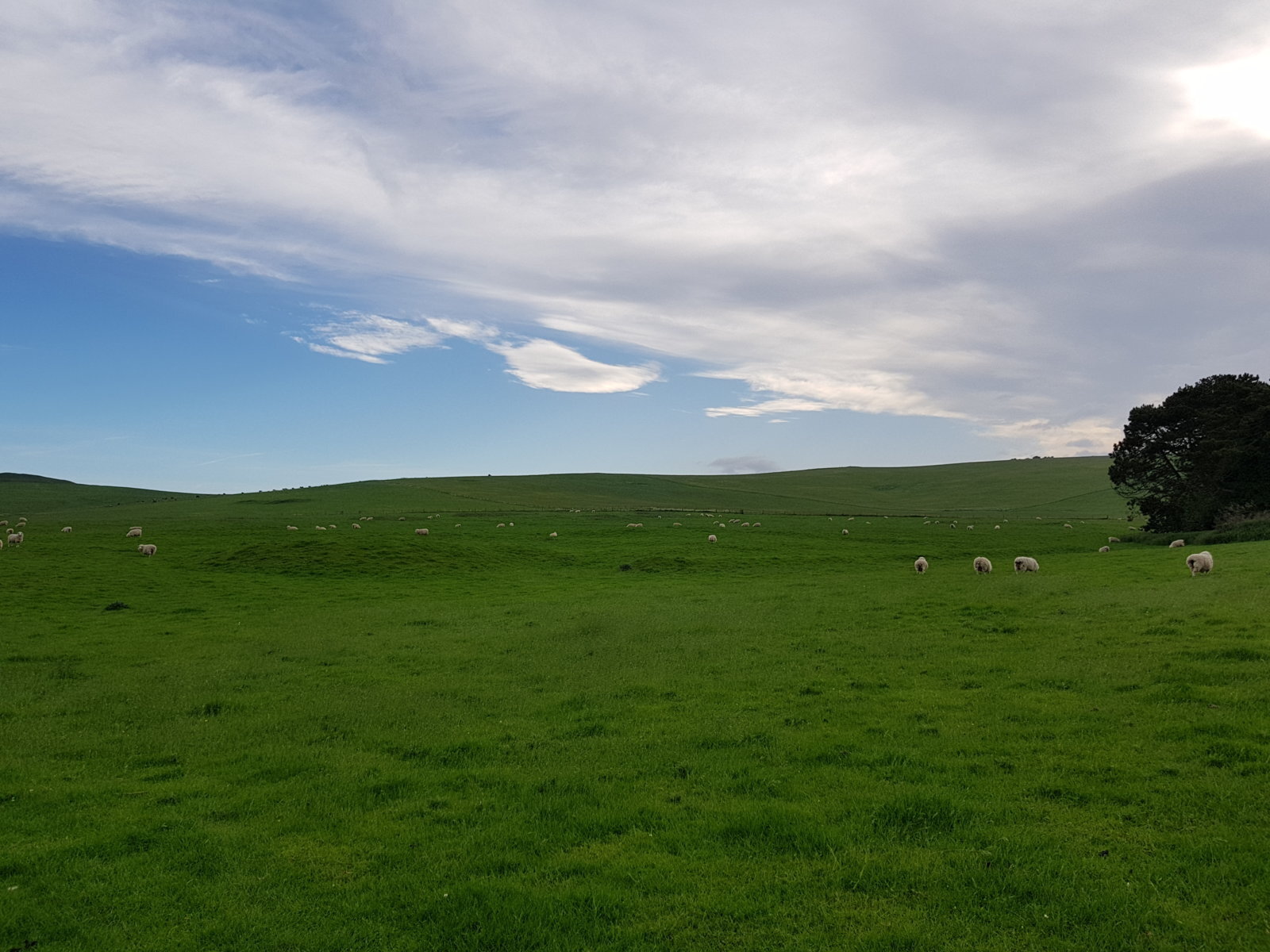 20170527_184109.jpg