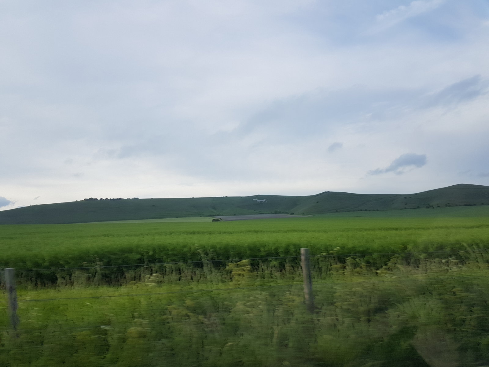 20170527_190619.jpg