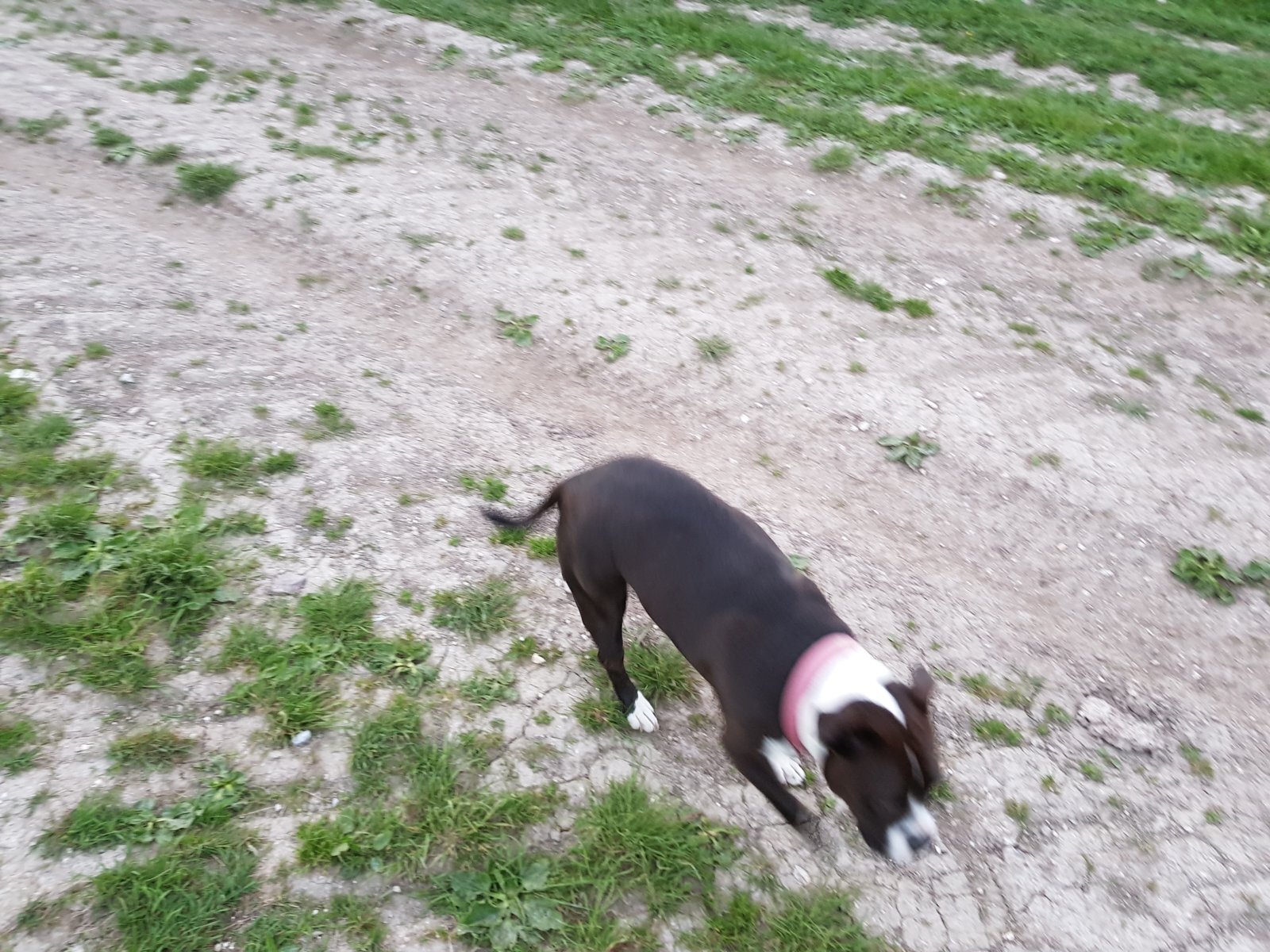 20170527_210836.jpg