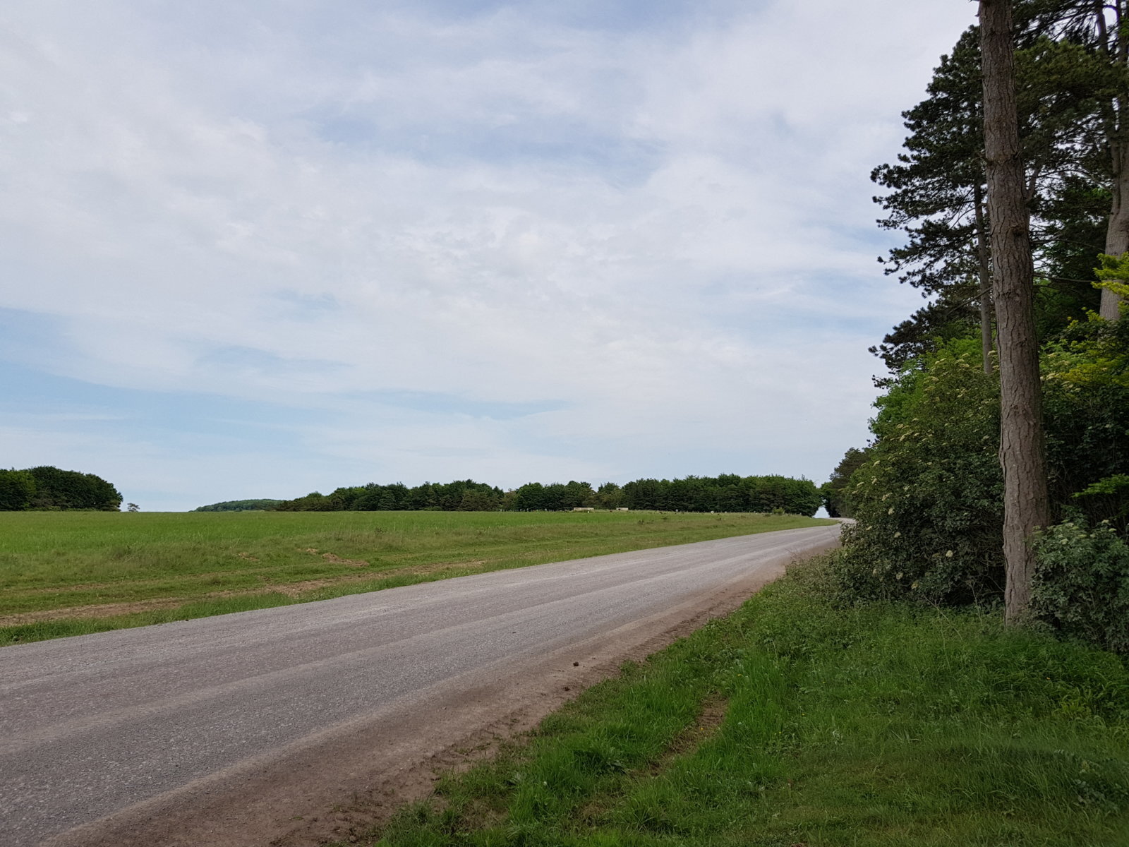 20170528_133247.jpg