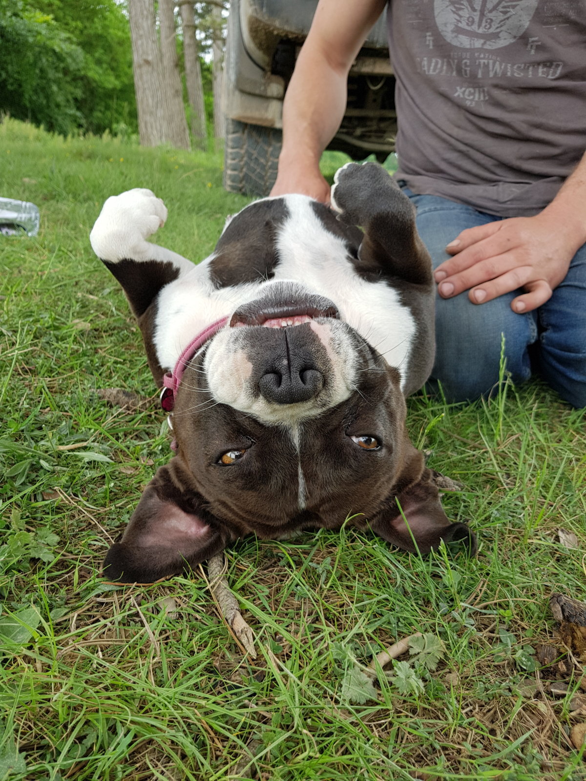 20170528_143953.jpg