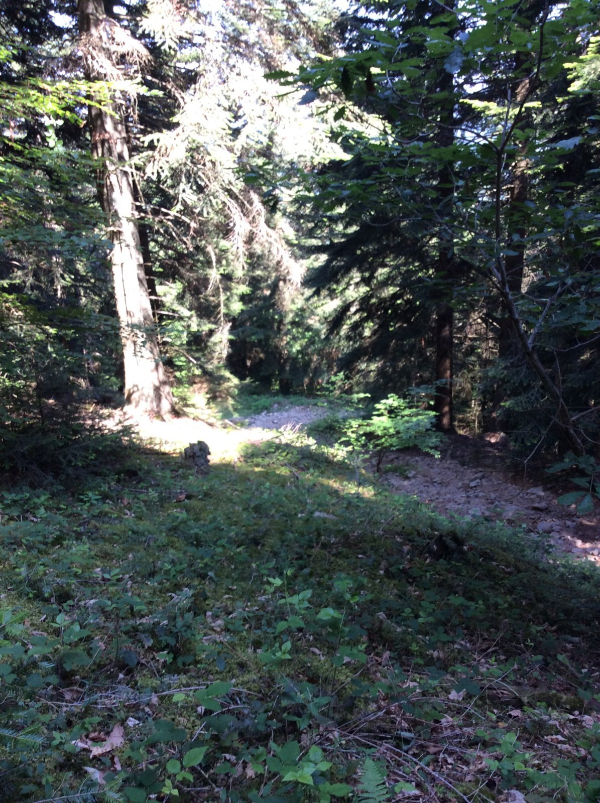 IMG_2853.JPG