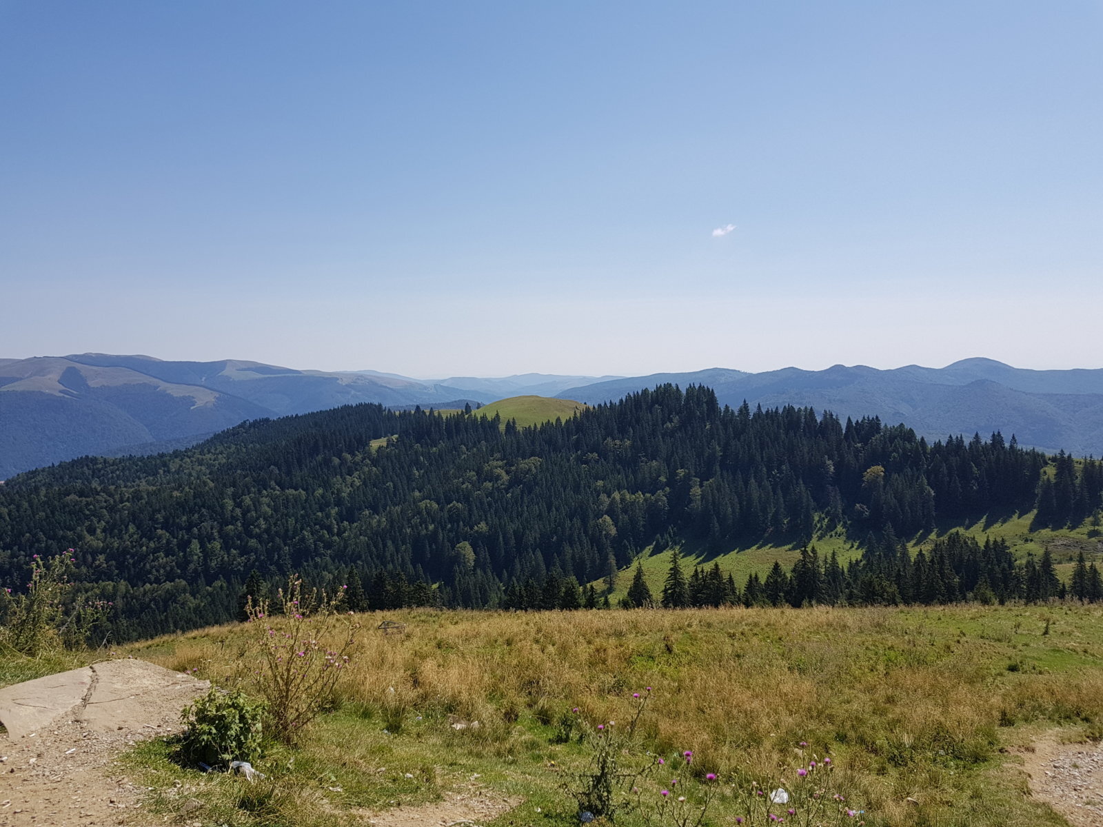 20170825_123043.jpg