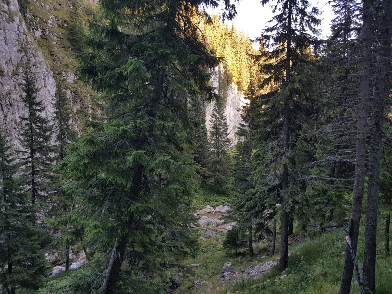 20170825_181156.jpg