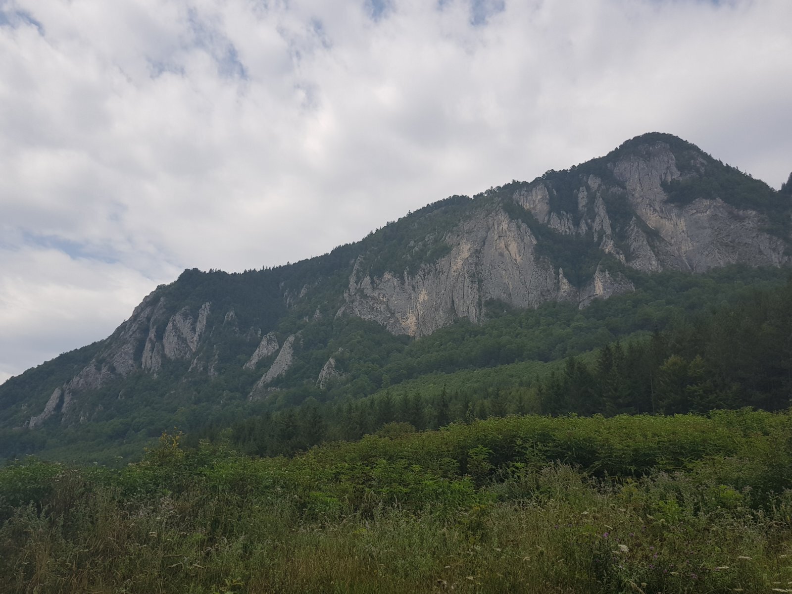 20170828_134350.jpg
