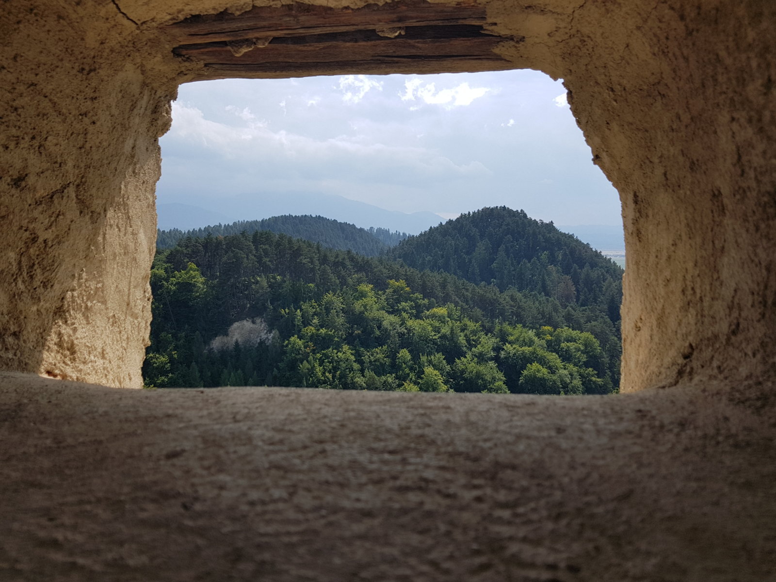 20170828_145313.jpg