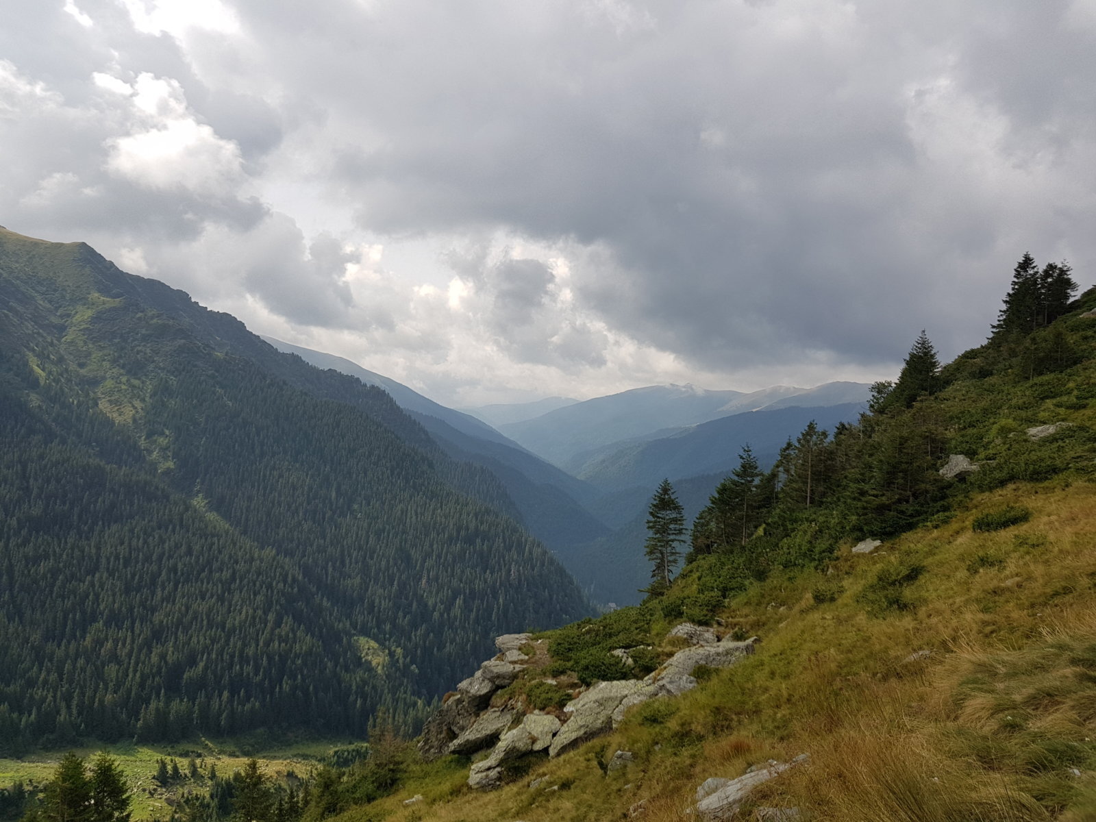 20170829_113612.jpg