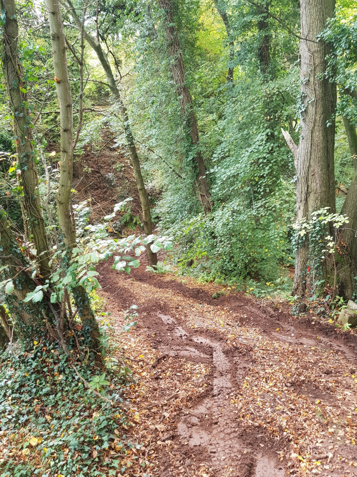 20170930_120953.jpg