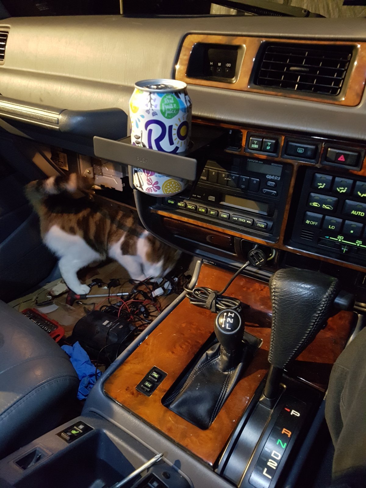 20171005_192738.jpg