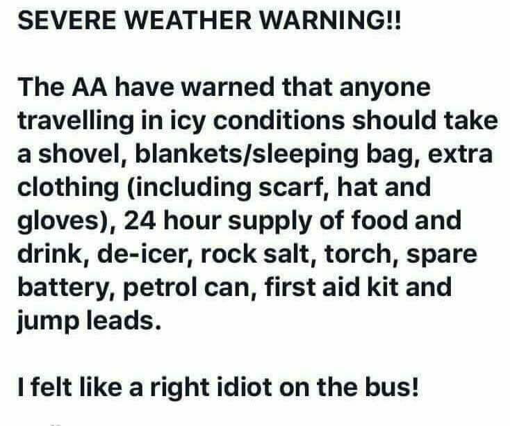 bus.jpg