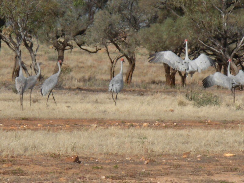 DSCN0076.JPG