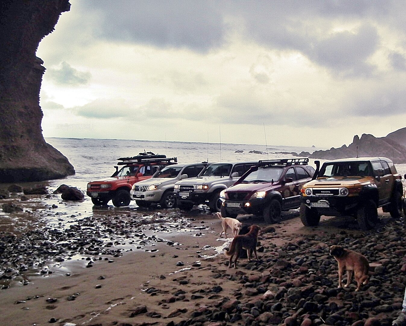 v01.jpg