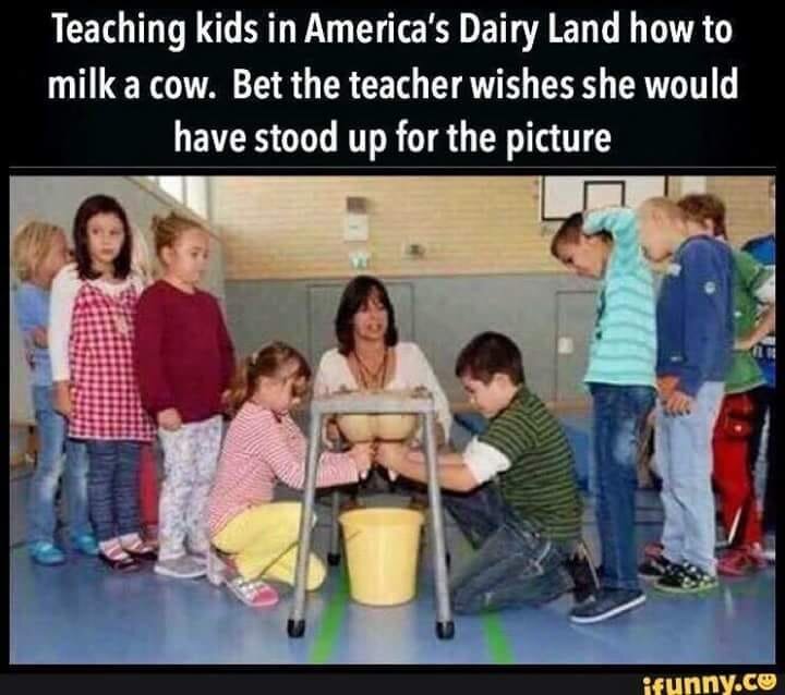 dairy.jpg