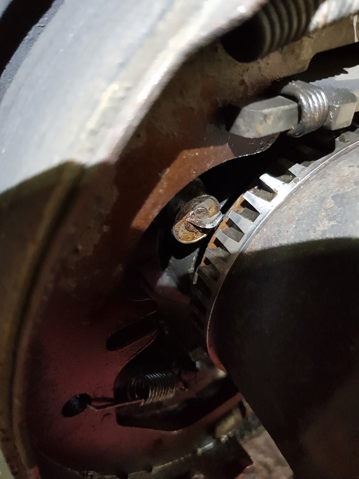 20180330_100642.jpg