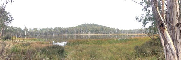 IMG_7522.jpg
