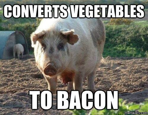 bacon 8.jpg