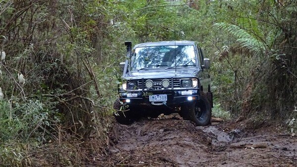 IMG_8148.jpg