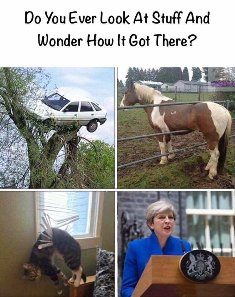May.jpg