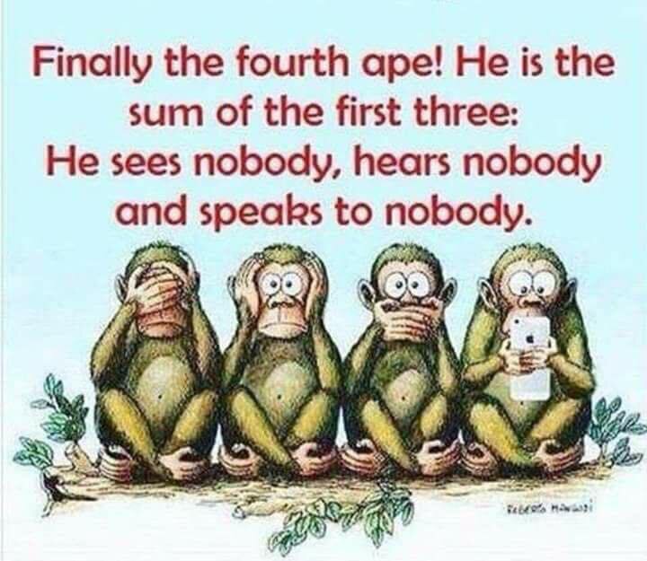 ape.jpg