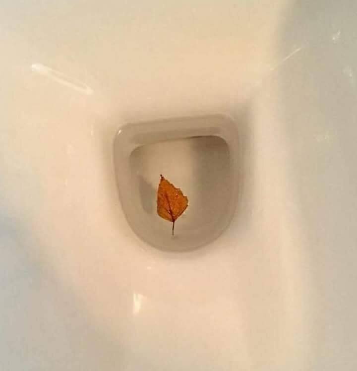 floater.jpg