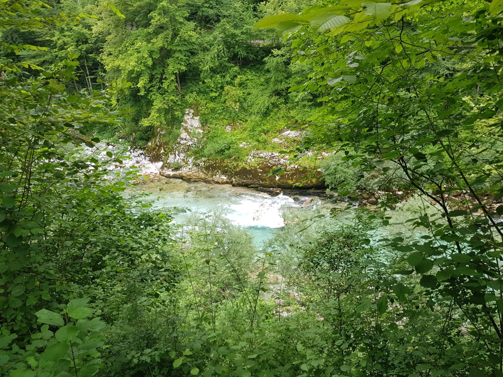 20180703_092025.jpg