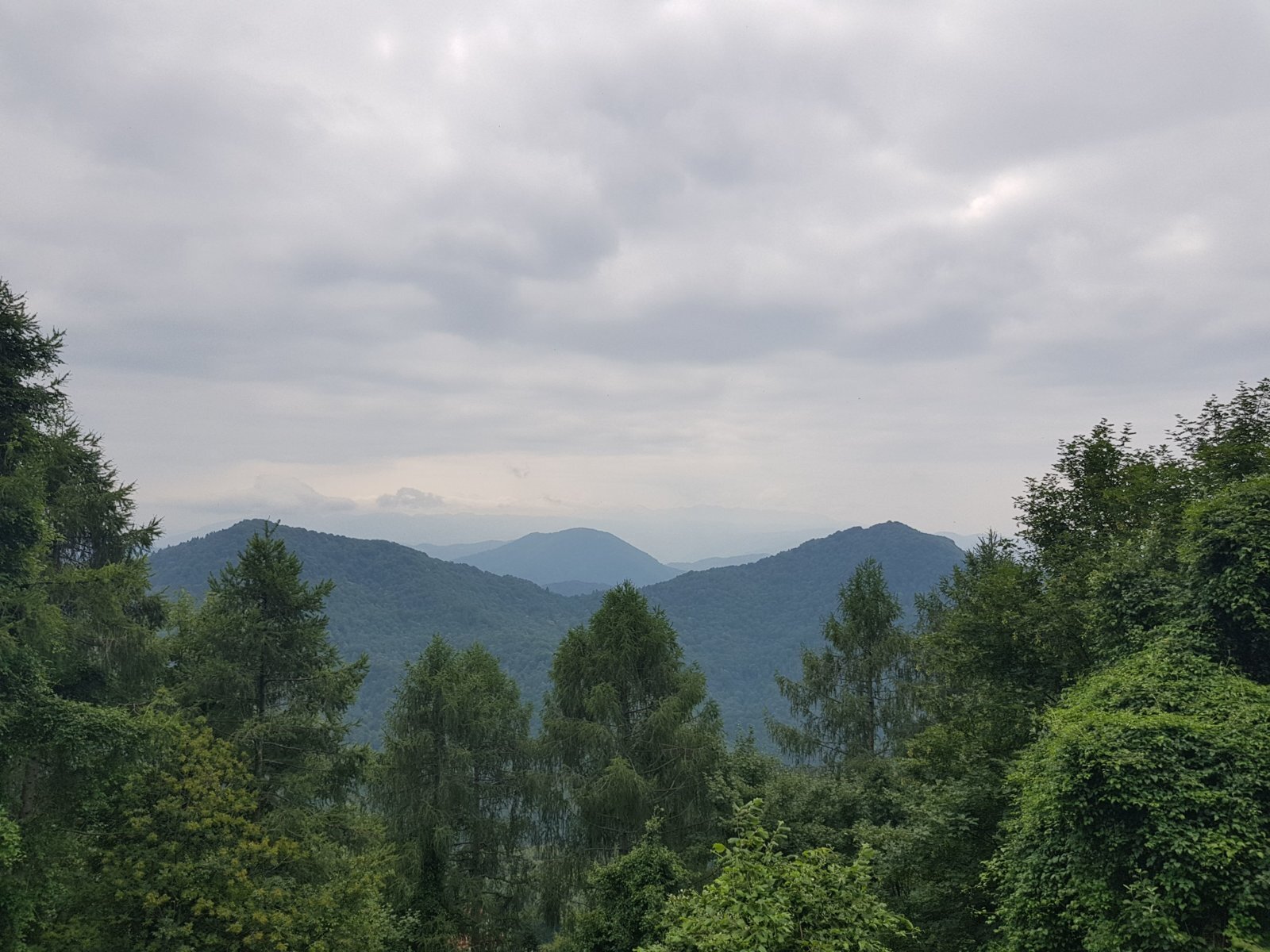 20180703_103559.jpg