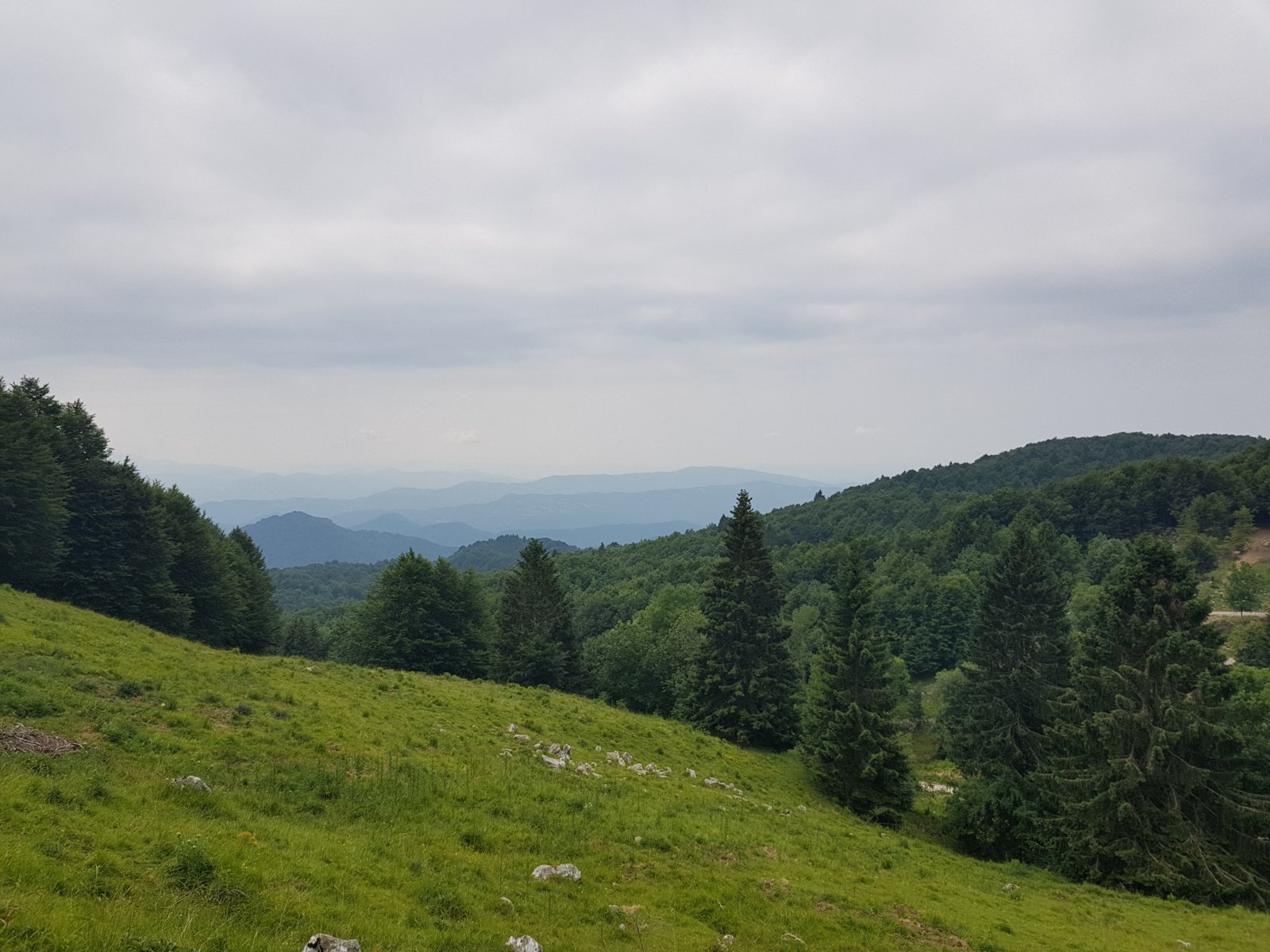 20180703_110341.jpg